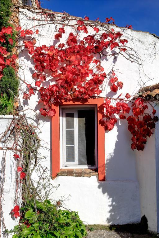 Cortijo La Hoya Pension El Bujeo Buitenkant foto